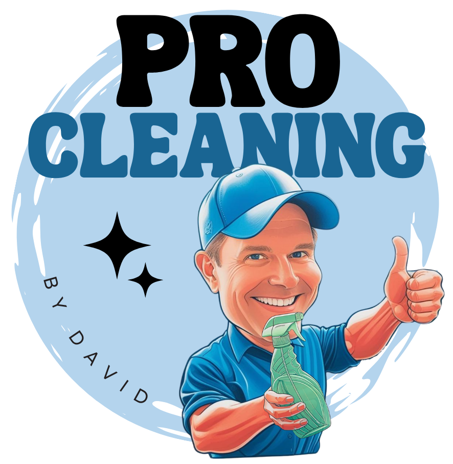 Cleaning Logo Final  e1748857192148
